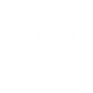 Cinderellas Glass Slipper